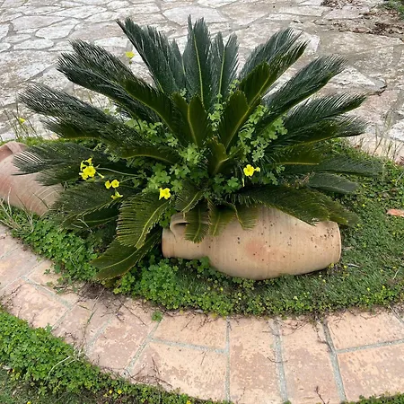 Holiday home Fiori Di Campo Sciacca
